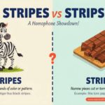 Stripes vs Strips Meaning Differences and Correct Usage ?