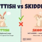 Skiddish vs Skittish Which One Is Correct and Why It Matters
